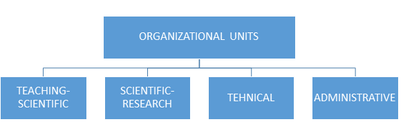organization01